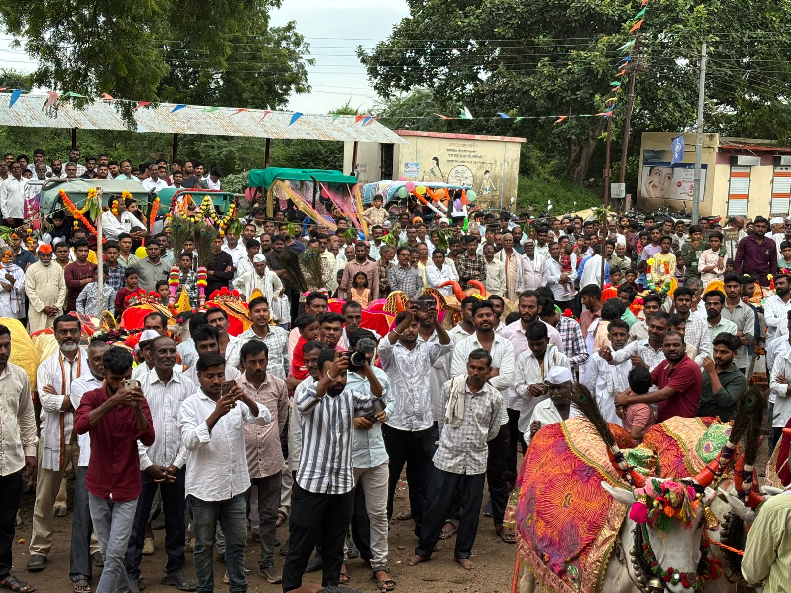 तळवेल येथे आगळा वेगळा बैलपोळा साजरा ;पारंपरिक पोळ्याला तंत्रज्ञानाची जोड ,उत्कृष्ट बैल जोडीचा झाला सन्मान